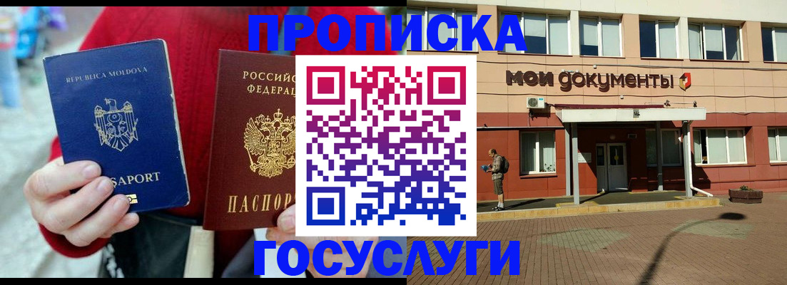 прописка в Курске